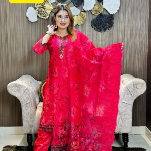 Maroon Organza Party Dress